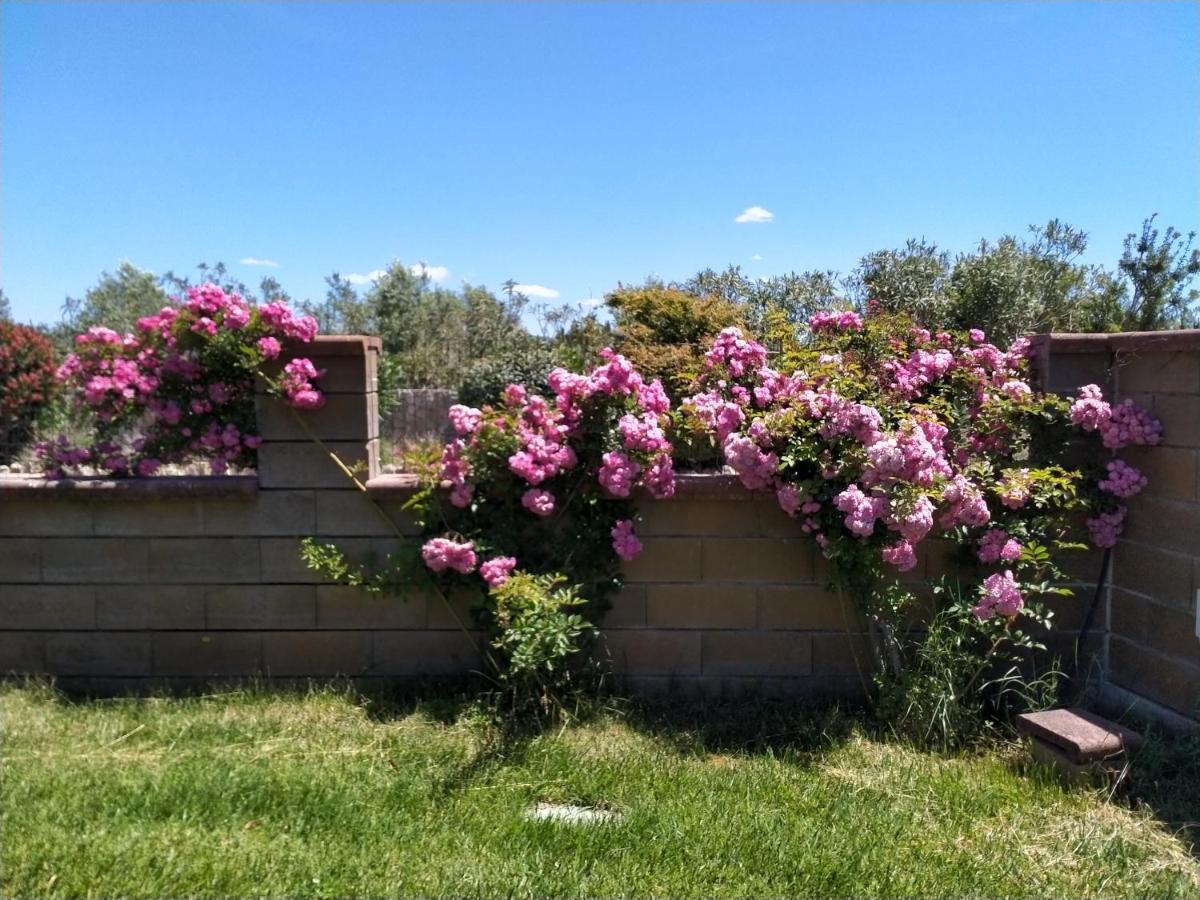 Le Rose Apartment Olmedo Exterior photo