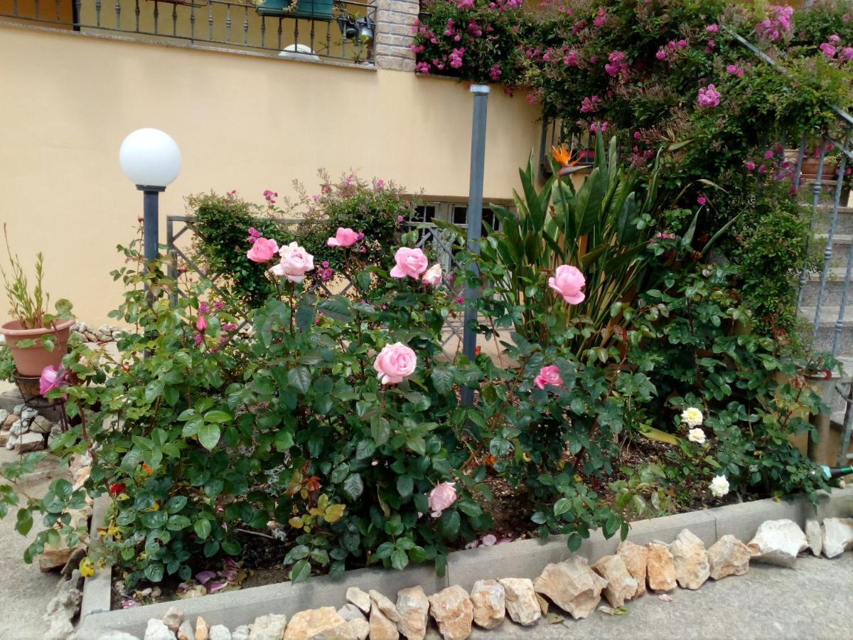 Le Rose Apartment Olmedo Exterior photo